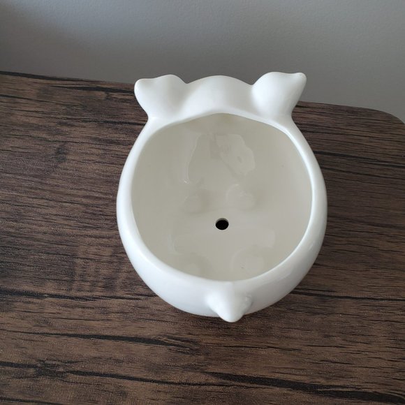 Pig Planter, White Pig Plant Pot, Ceramic Animal Planter, Succulent Planter, 6" - Picture 6 of 8